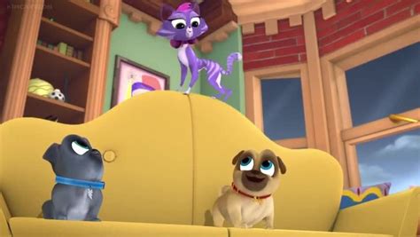 Puppy Dog Pals watch free online all episodes on Soap2Day, .
